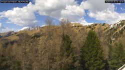 Pozza di Fassa Buffalure