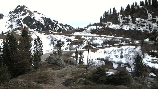 pista bosco