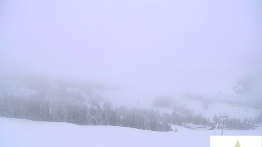 Alpe di Siusi verso il Sassolungo