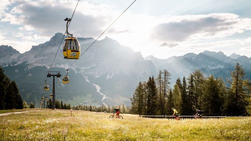 In Alta Badia nasce una Food Forest per cibarsi di natura in un percorso auto-guidato