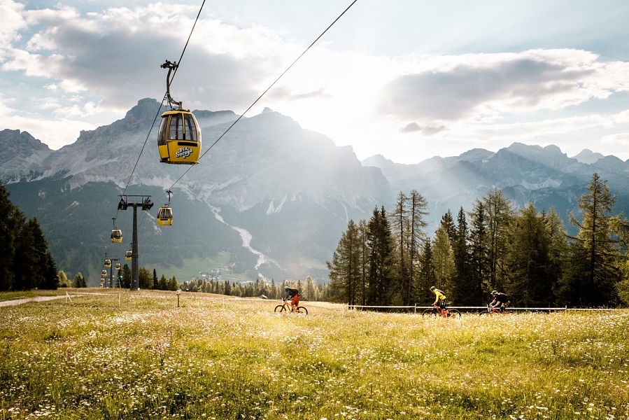 In Alta Badia nasce una Food Forest per cibarsi di natura in un percorso auto-guidato