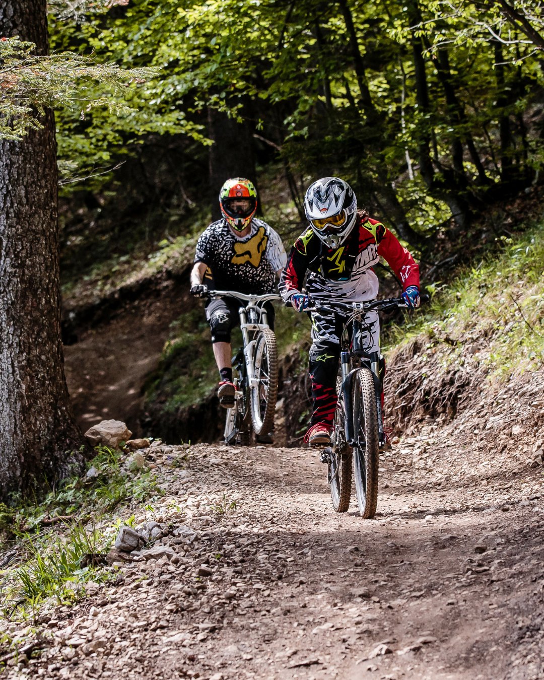 Paganella Bike Park, dal 23 maggio apre l’Andalo Zone. Il trail Top Gun è la novità del 2026