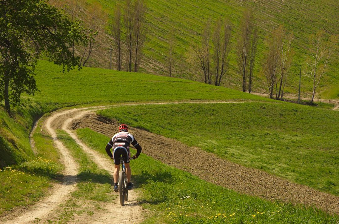 Dintorni di Imola in bici