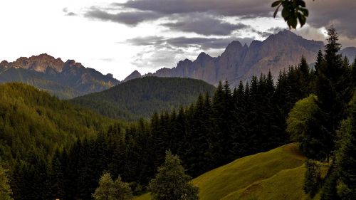 Tarvisiano. Una foresta millenaria da scoprire al confine con Austria e Slovenia