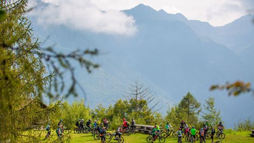 Alla scoperta dell'Arena Bike Park di Ampezzo, uno dei fiori all'occhiello di Sportland