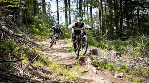 Natale a pedali: una quindicina di proposte legate al ciclismo per i regali sotto l'albero