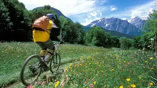 les Deux Alpes Estate Mountain bike