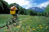 Attrezzatura per la bici, telaio, cambio, ruote, accessori