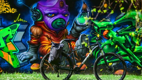 Gaerne G.Kobra, nel catalogo MTB dell'azienda italiana una scarpa ricca di novità