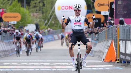 Valverde ha deciso: Ayuso leader unico della sua prima Spagna mondiale, la Francia con Alaphilippe e... Seixas