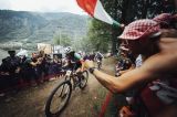 UCI MTB Racing