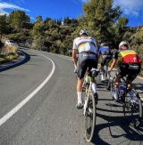 Road bike