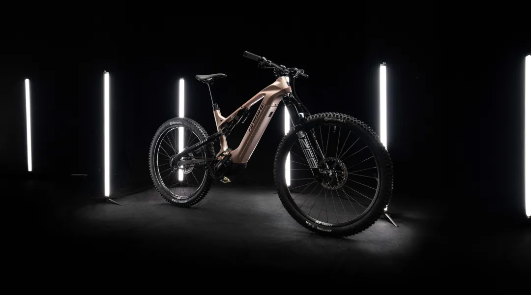 Haibike AllMtn CF 10 TRN/IQ