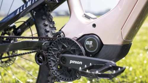 Haibike AllMtn CF 10 TRN/IQ
